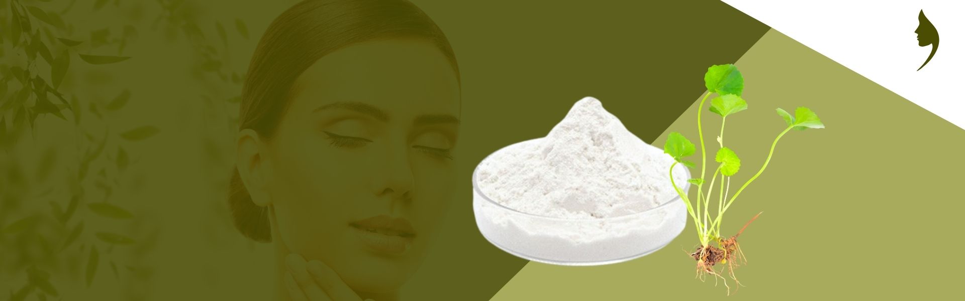 Premium Compound Sweetener Production Excellence